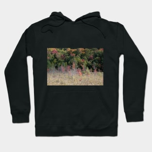 Searching for Fall Colors in the Adirondacks!! Hoodie